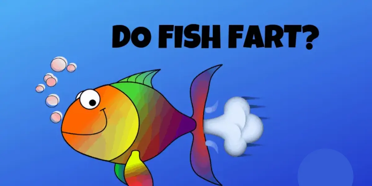 Do Fish Fart