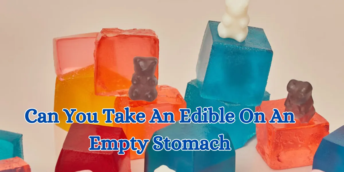 Can You Take An Edible On An Empty Stomach